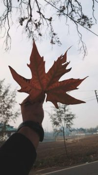 travel tips for every season in kashmir