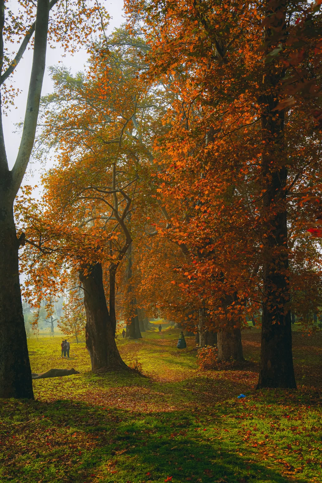 srinagar kashmir tourism